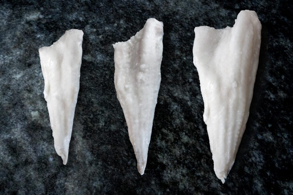 filetes congelados_ederpesca
